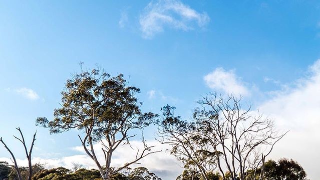 Зима в Австралії