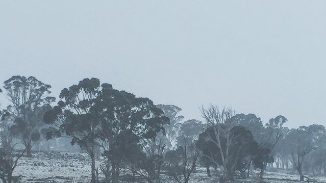 Зима в Австралії