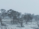 Зима в Австралии