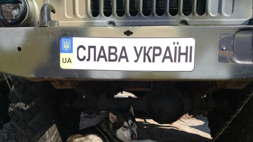 В соцмережах фотографії бійців з тваринами збирають сотні "лайків"