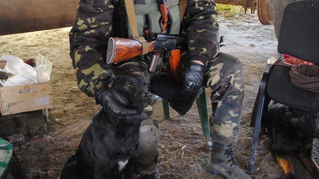 В соцмережах фотографії бійців з тваринами збирають сотні "лайків"