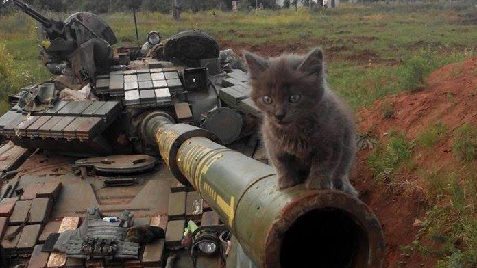 В соцмережах фотографії бійців з тваринами збирають сотні "лайків"