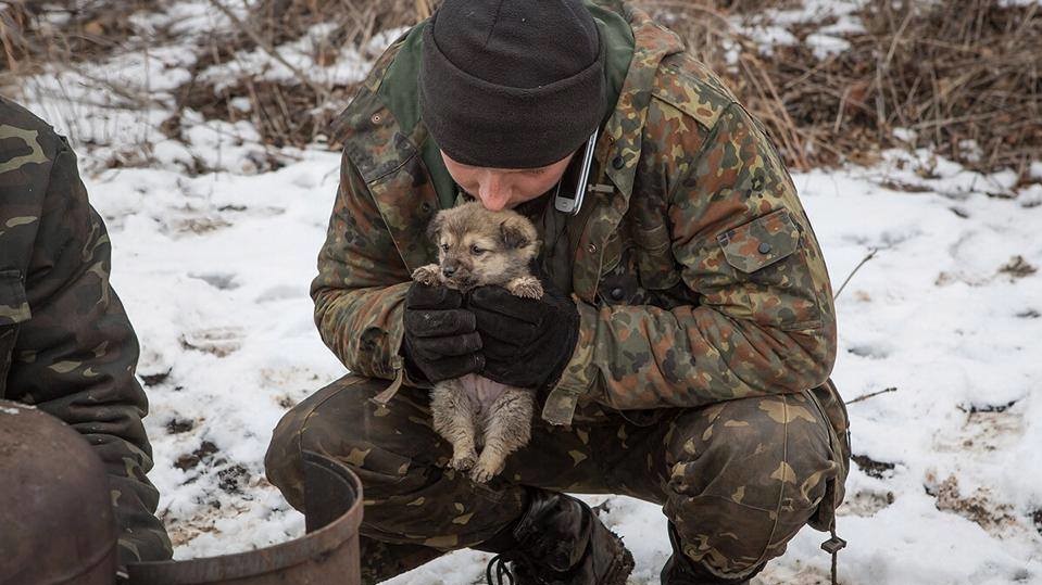 В соцмережах фотографії бійців з тваринами збирають сотні "лайків"