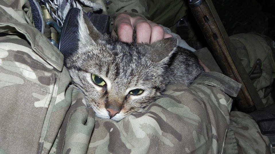 В соцмережах фотографії бійців з тваринами збирають сотні "лайків"