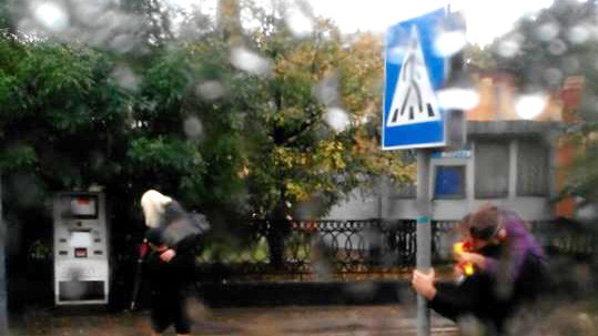 Сильный дождь затопил улицы Львова