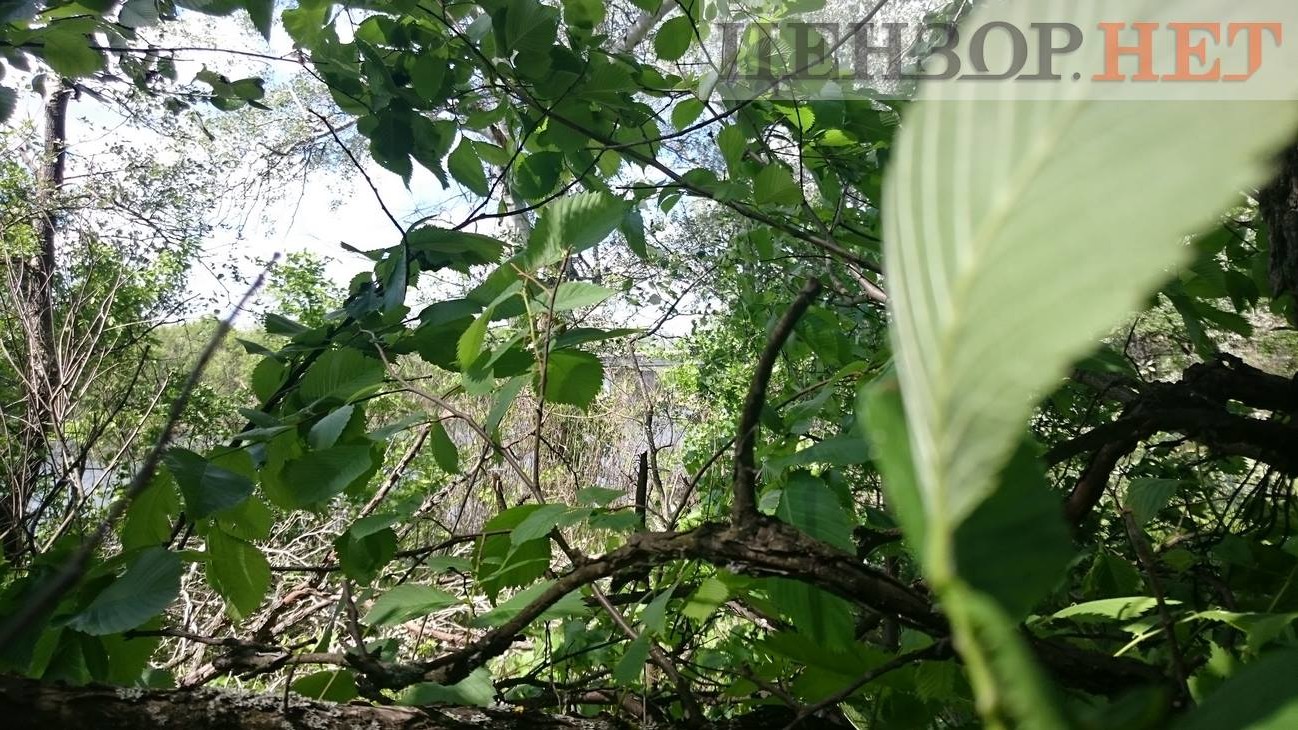 На подходе к мосту у Счастья