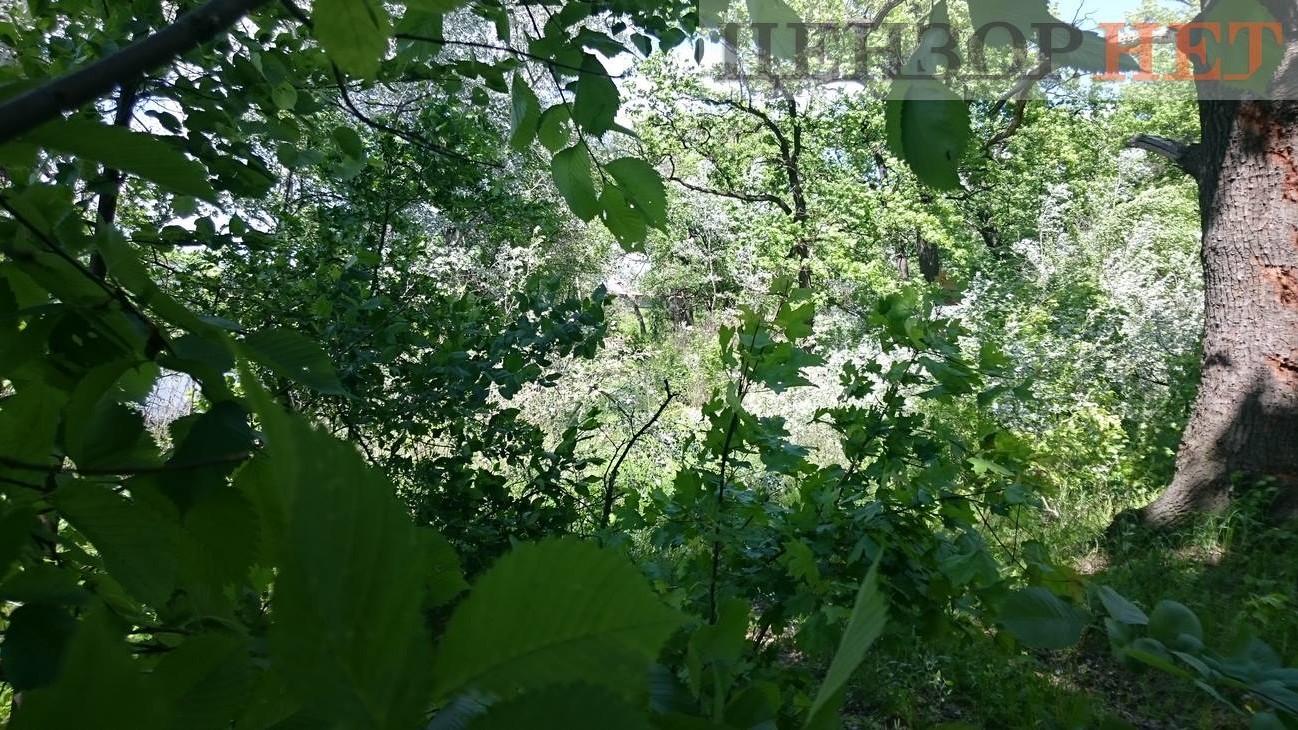 подходы к мосту