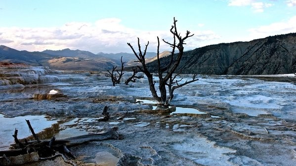 Автор palomasblankas/EyeEm. Єллоустонський національний парк, США