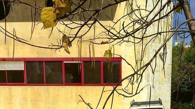 Канны после наводнения