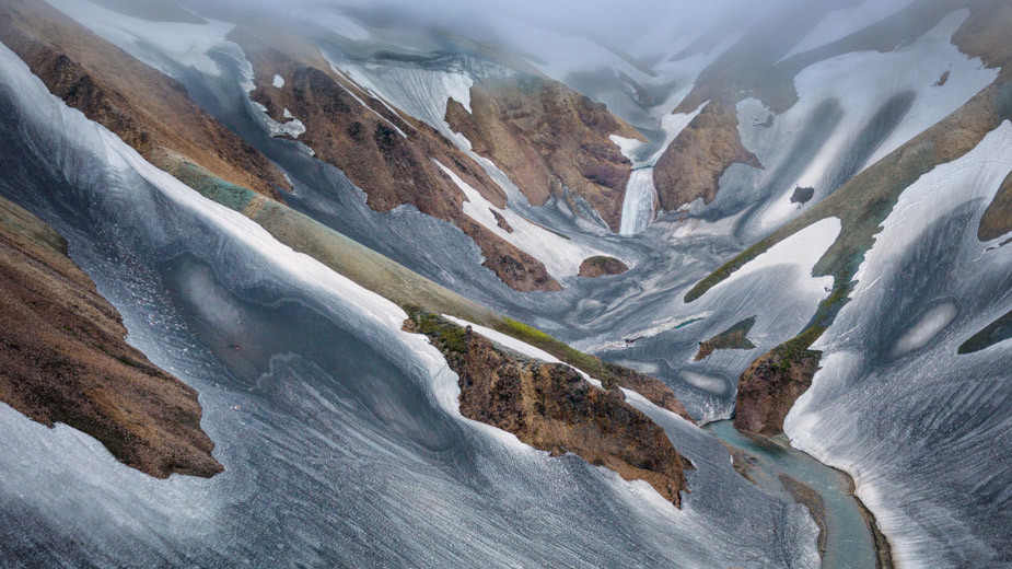 Вчені попереджають про можливе зникнення дикої природи