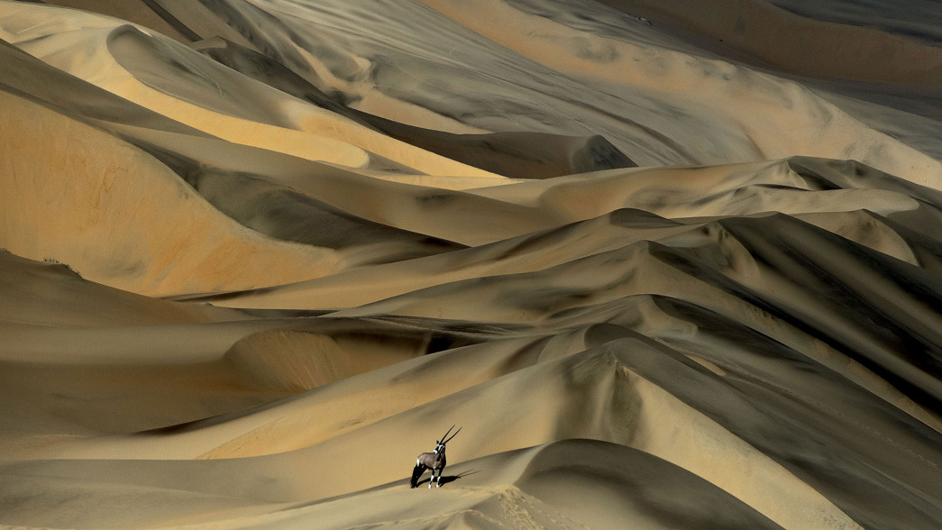 Фіналіст в категорії "Ссавці". Сергій Горшуков, Росія