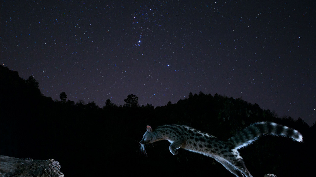 Фіналіст в категорії 15-17 років, Marc Albiac, Іспанія