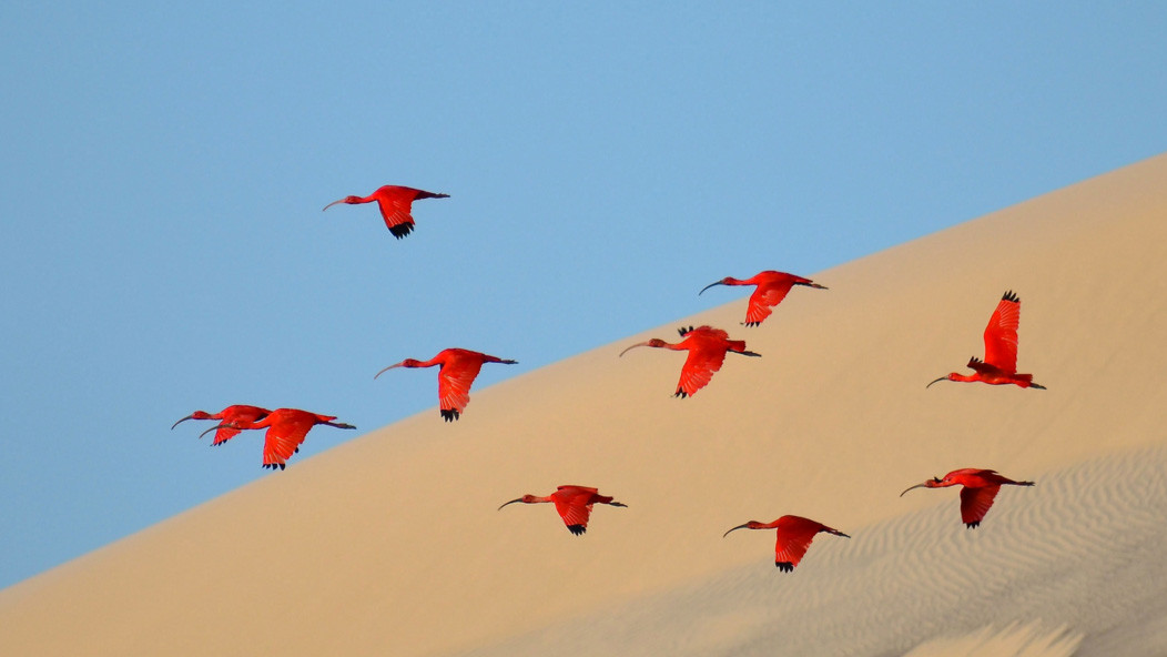 Переможець в категорії 15-17 років, Jonathan Jagot, Франція