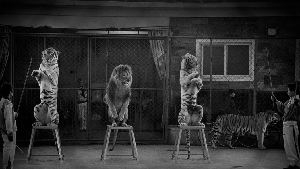 Переможець в категорії "Фотожурналістика, одиночний знімок" Britta Jaschinski, Німеччина