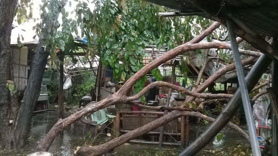 Последствия тайфуна