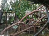 Последствия тайфуна
