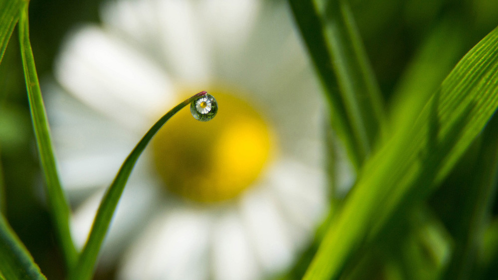 Фото Mairi Eyres