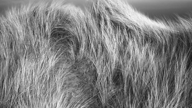 Фото Jeremy Barrett