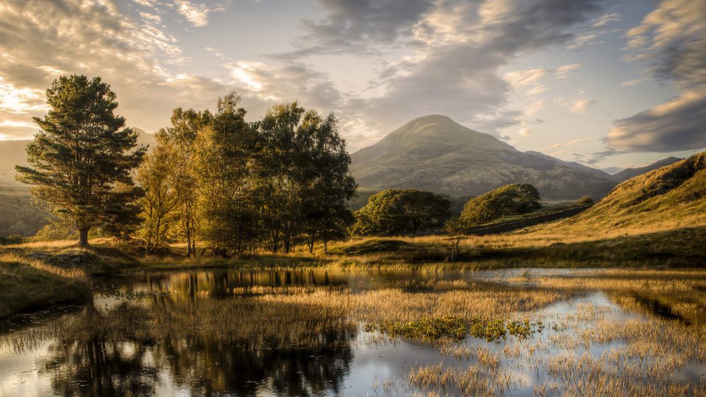 Фото Chris Shepherd