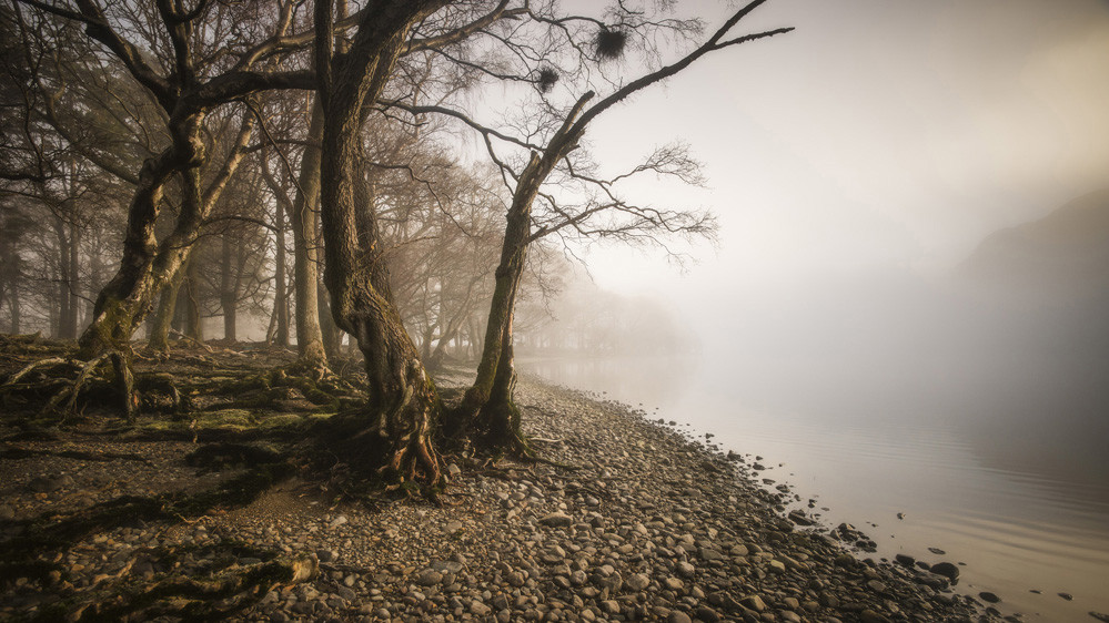 Фото Mark Littlejohn