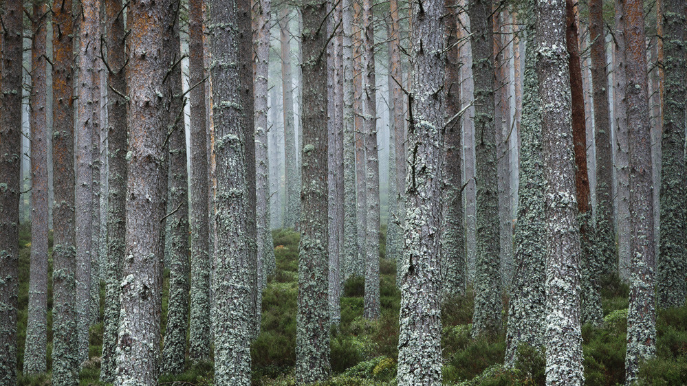 Фото David Shawe