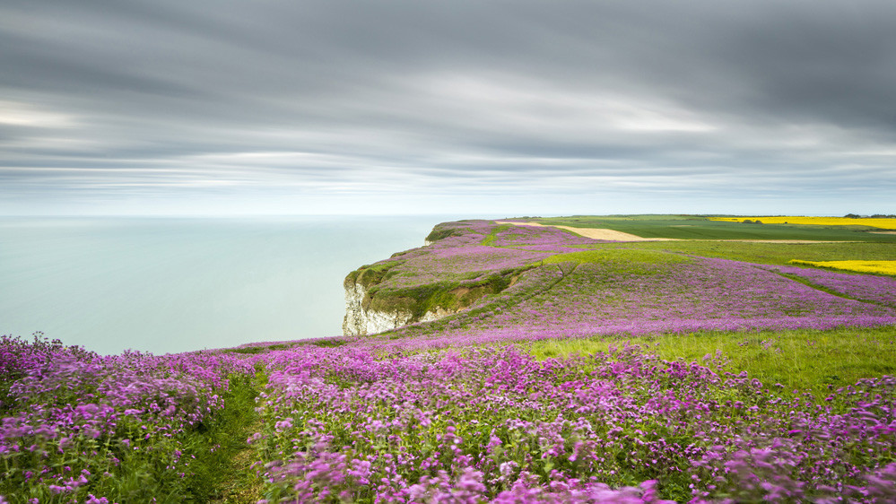 Фото Nick Hanson