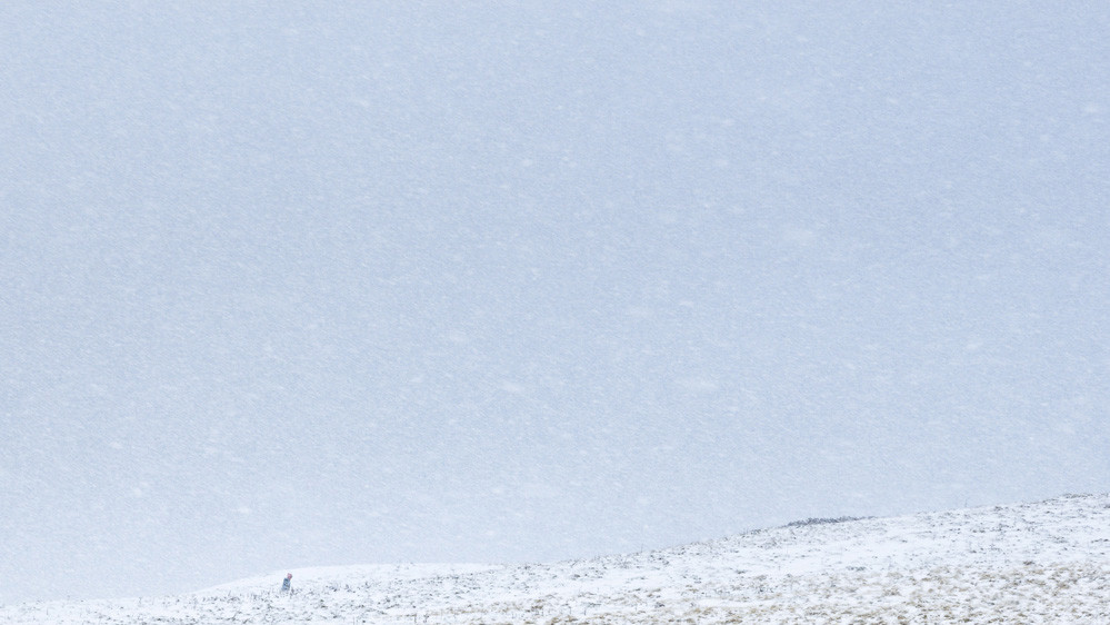 Фото Lizzie Shepherd