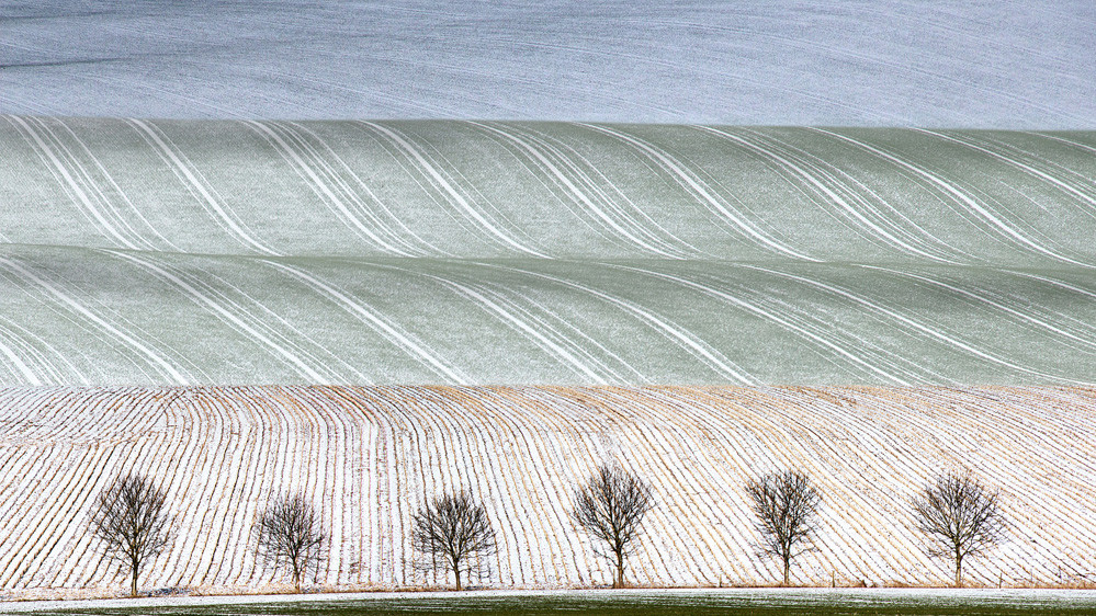 Фото Peter North