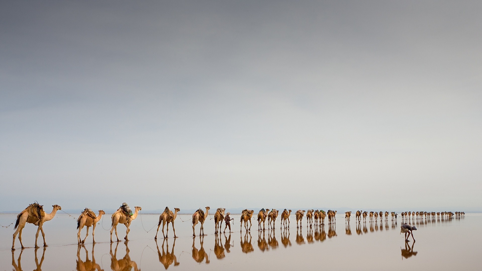 Третє місце у номінації "Подорожі". автор Jørgen Johanson