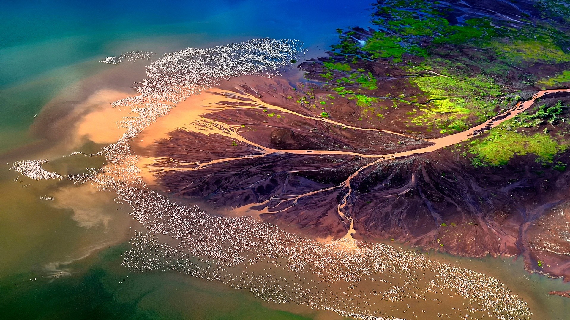 Категорія "Природа". Автор Franco Cappellari