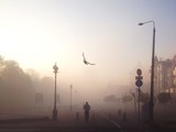 У Києві в першій половині дня очікується сильний туман