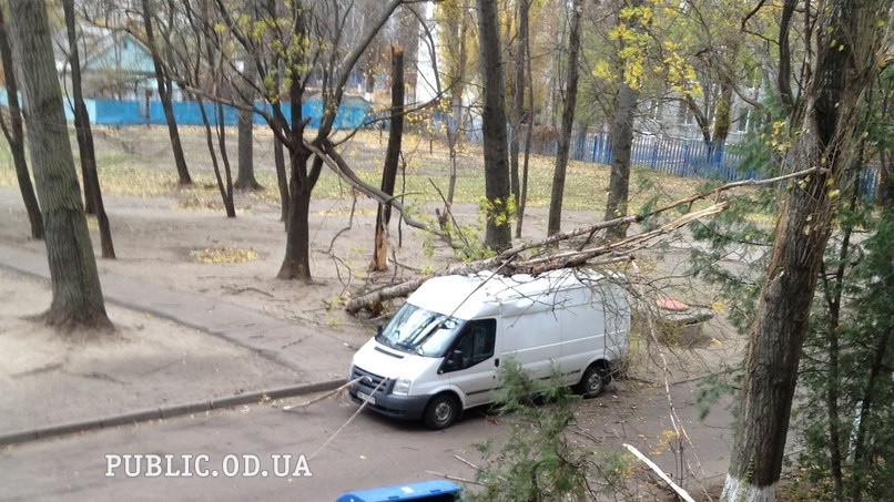 Сильный ветер ломал деревья
