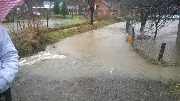 По прогнозам, большая вода покинет Закарпатскую область через три дня