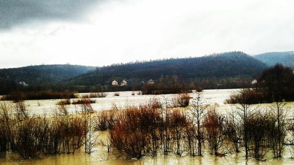 По прогнозам, большая вода покинет Закарпатскую область через три дня