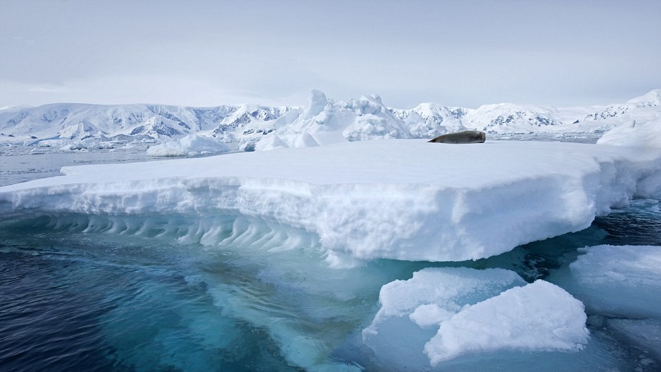 Фото Pete Seaward