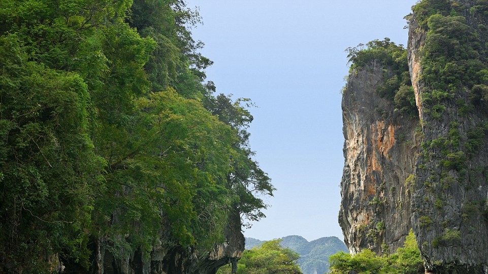 Фото Catherine Surtherland