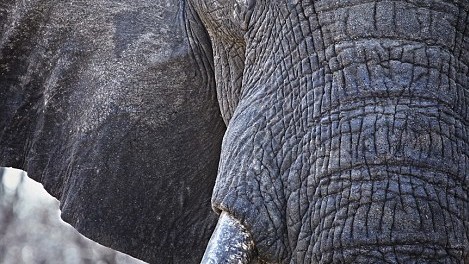 Фото Jonathan Gregson