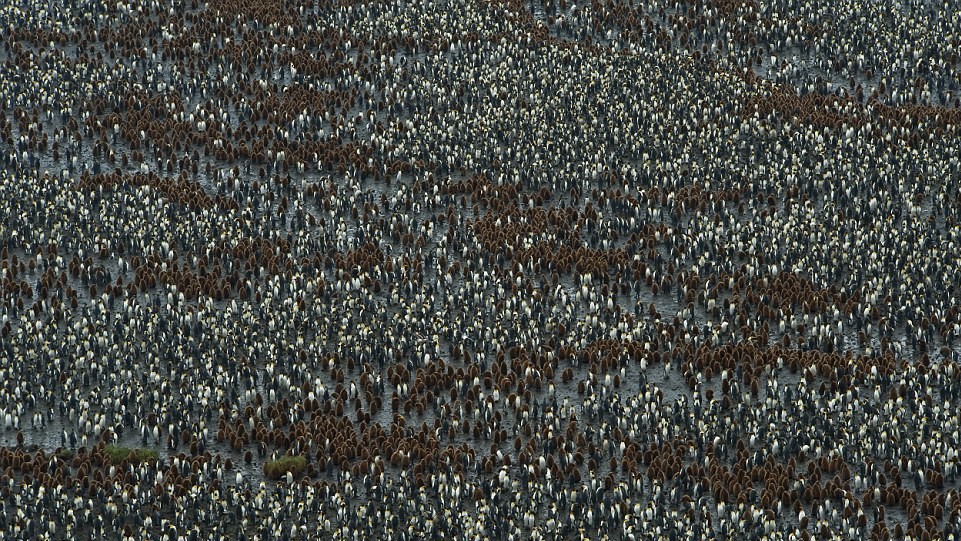 Фото Pete Seaward