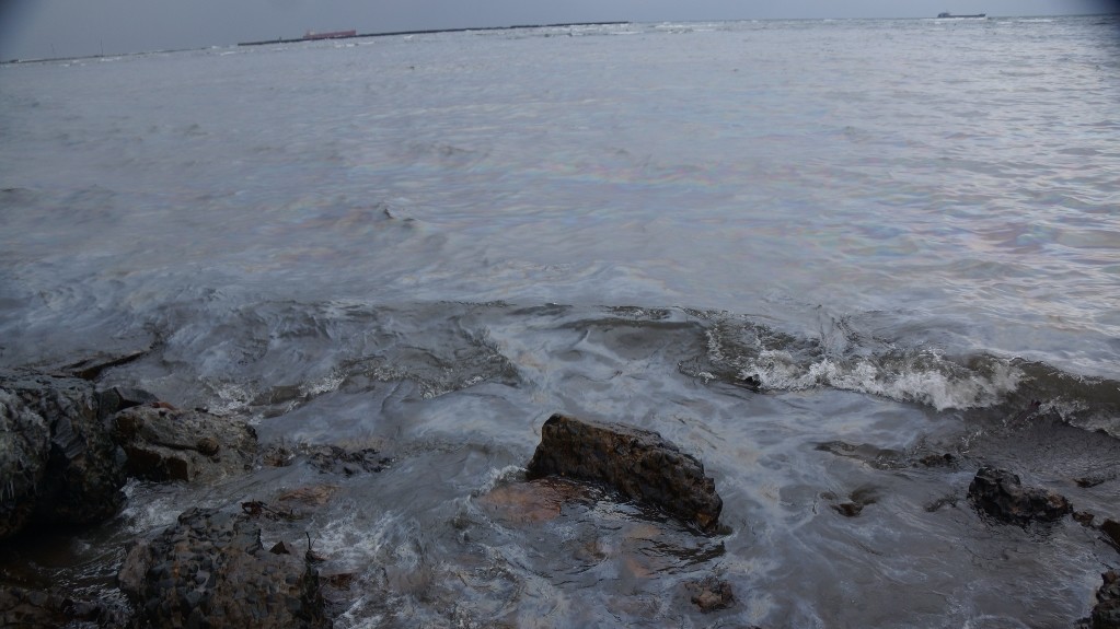 Птахи гинуть на узбережжі