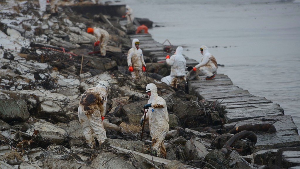 Птахи гинуть на узбережжі