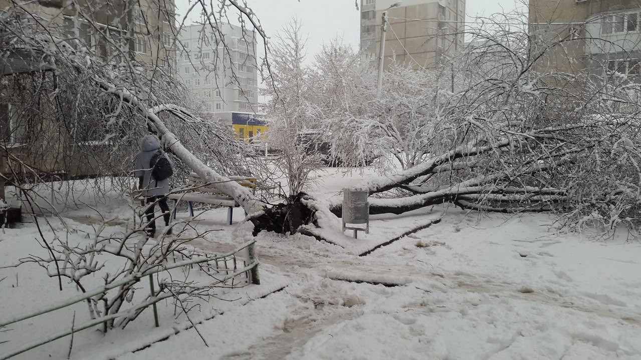 Последствия снегопада в Харькове