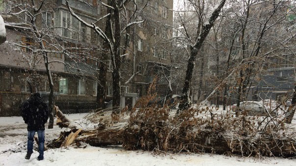 Последствия снегопада в Харькове