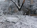 Наслідки снігопаду в Харкові