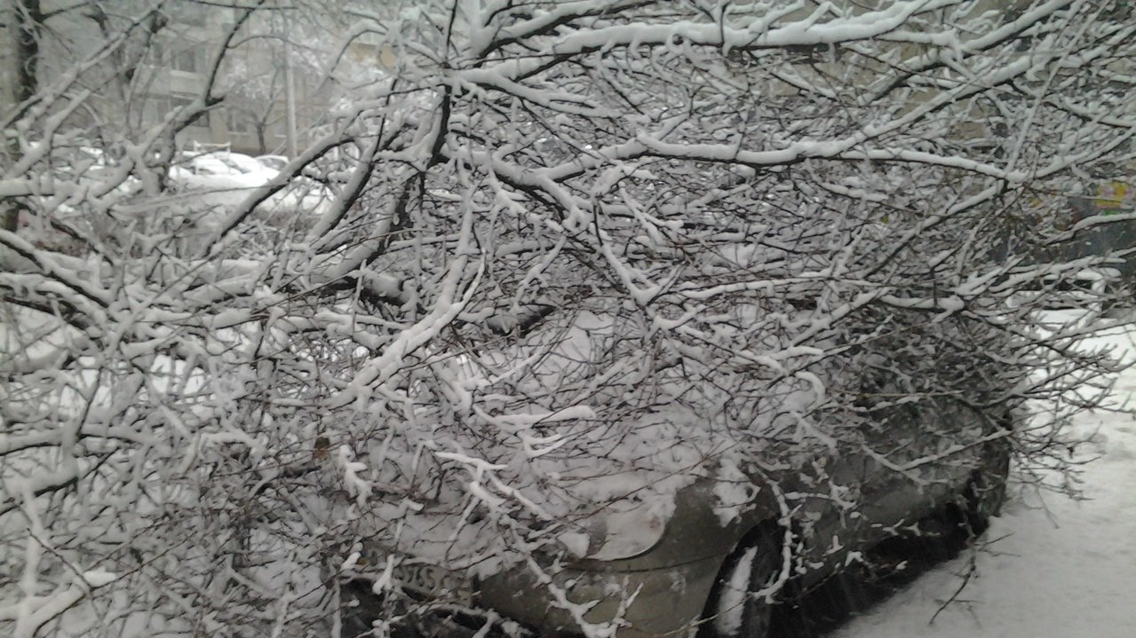 Последствия снегопада в Харькове
