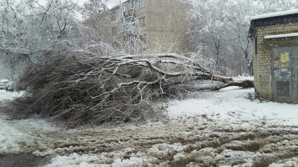 Последствия снегопада в Харькове