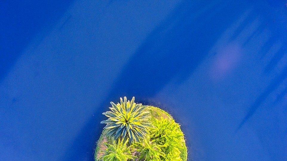 Автор Кірк Гілл