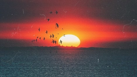 В Австралії цілий штат перейде на сонячне електропостачання