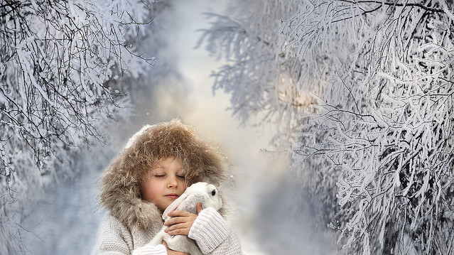 Фото Elena Shumilova