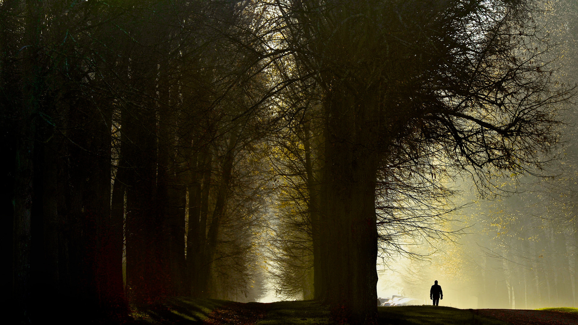 Фото Marie Lalanne Manzor