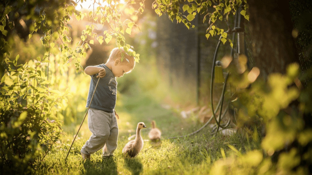 Фото Iwona Podlasinska